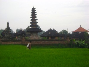 bali.jpg